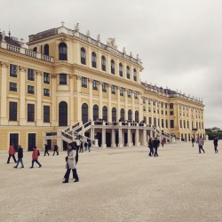 The schonbrunn palace 💛 #schonbrunn #vienna