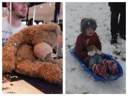 cheshirecrap:  atheshotgunopera:  Tumblr, I really need your help. My friend’s daughter has lost her best friend, Bearbear. Lily is on the autistic spectrum and uses BEARBEAR as a communicator which makes him extra special to her. He was left on a train