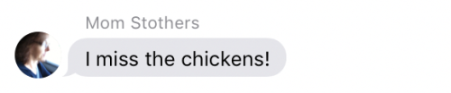 pangur-and-grim:pangur-and-grim:pangur-and-grim:so my mom couldn’t handle my hens coming back to Tor