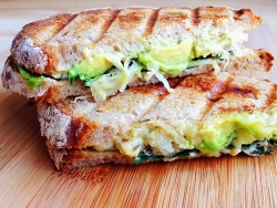 vegan-yums:  Avocado love ^-^ Avocado, Hummus, Kale, and Sauerkraut Panini  Pomegranate guacamole Avocado cream pasta  Chocolate avocado mouse Avocado Eggrolls Mexican Mushroom and Spinach Sandwich Baked Avocado Fries (how to veganize at bottom) can