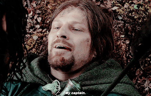 The Lord Of The Rings: The Fellowship Of The Ring (2001), Dir. Peter Jackson