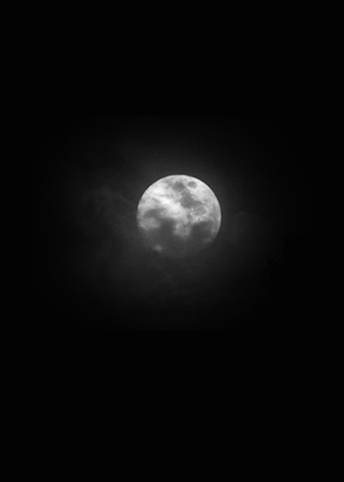 bohemiablackmagic:As the sun falls to slumber,and night veils its sky,the moon makes its place,and t