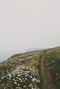 south-england:  Coastal Path, The Lizard