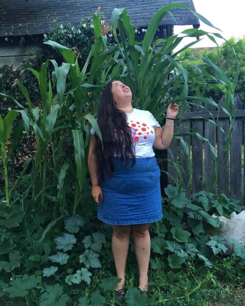Reveling in how tall my corn has gotten. It hasn&rsquo;t even started to grow ears yet! : jktm #nati
