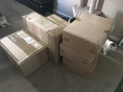 codydl88:  Sheesh. Took me 45 minutes just to take them upstairs, unpack and store them. So much work! I need to play some video games now to recover!