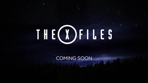 xfilesfox:  The X Files returns January 2016 porn pictures