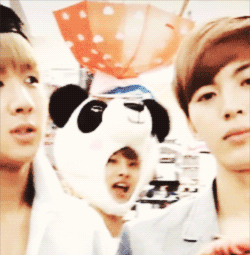 junseol:  12/∞ of my fav vixx moments: Panda Hakyeon trolling 