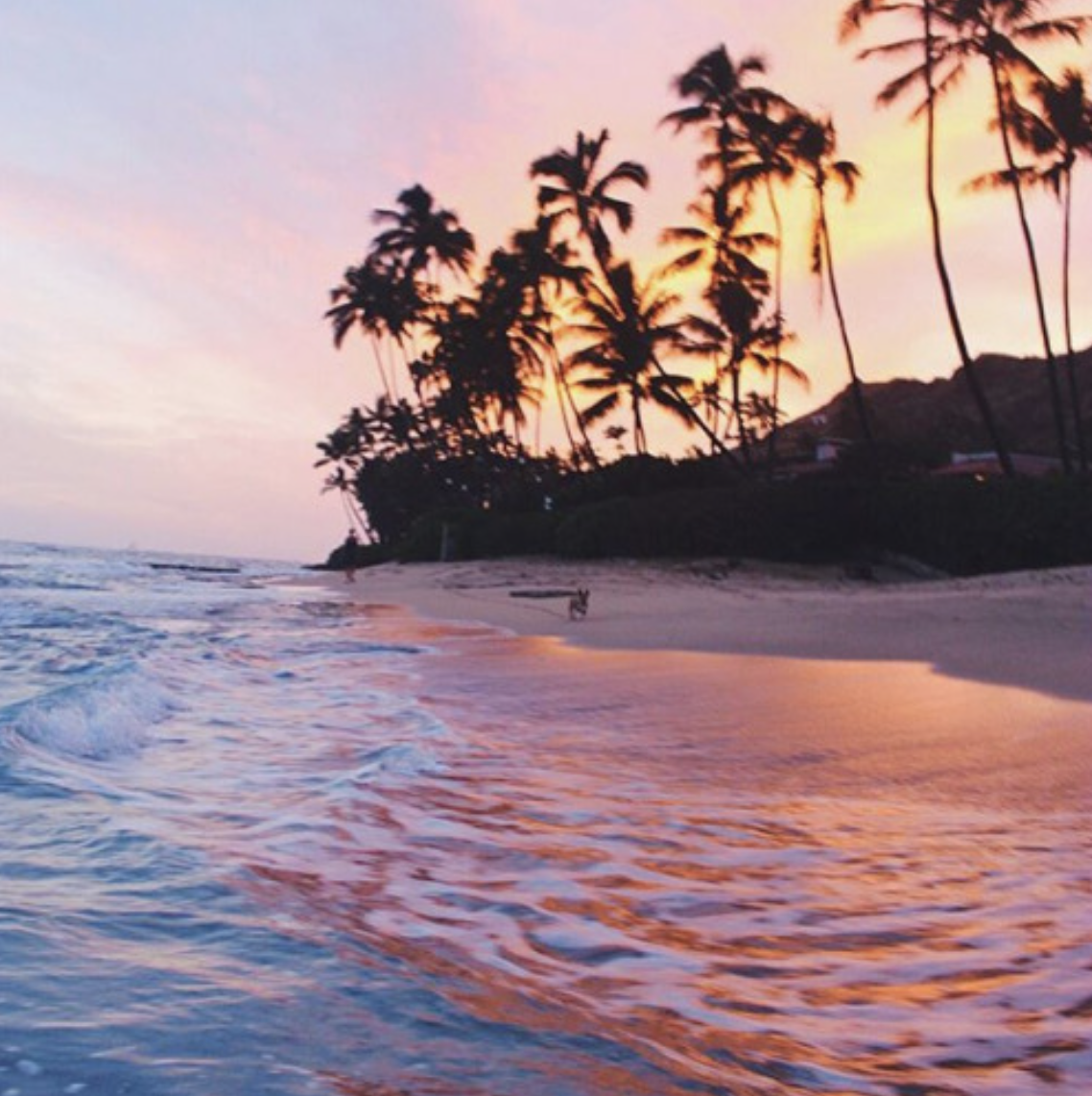 Tumblr Beach Sunset California Tumblr Beach Sunset California