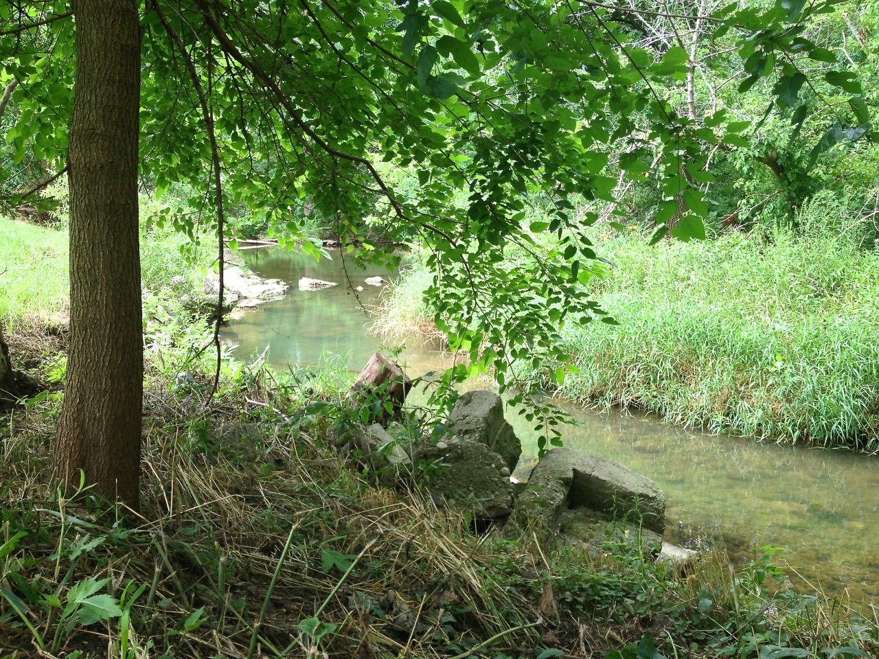 Indiana Creek by Brooke Pratt, Senior, Interlochen Arts Academy