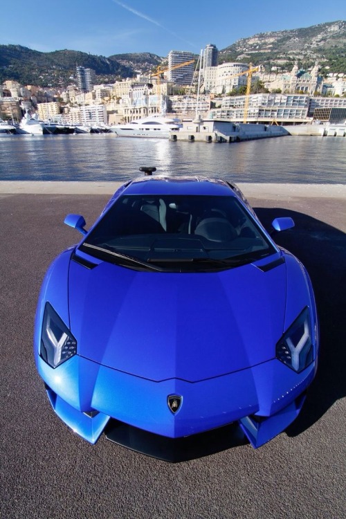 Lambo at Automobili veloci