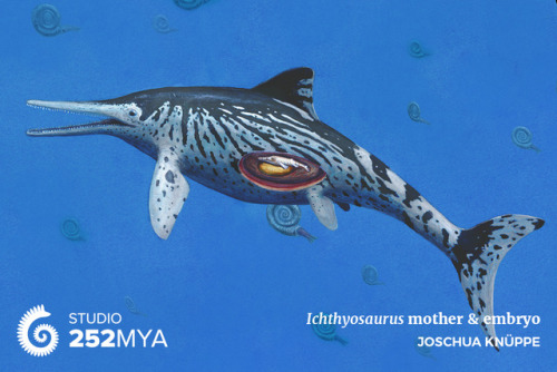 252mya:Ichthyosaurus mother & embryoArtwork by Joschua KnüppeAt over 3 meters (10 feet) long, th