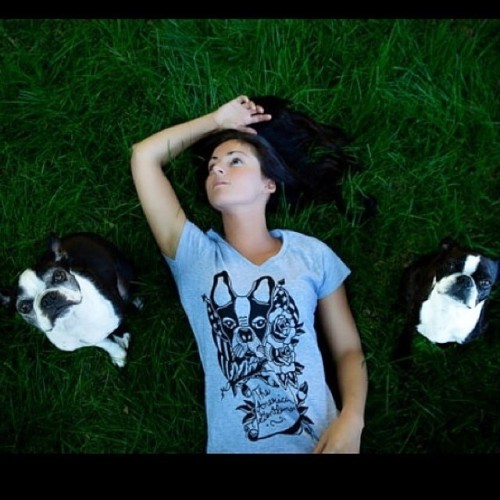 Get your American Gentleman tee today! www.etsy.com/shop/clevotine #bostonterriercult #bostonterrier