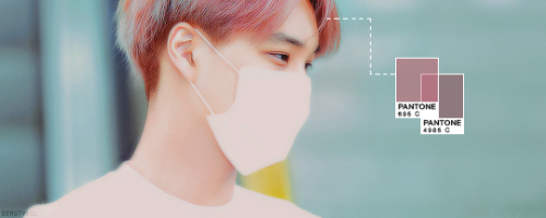 beautyeol:exo pantones ; pink ☆☆ ↳ requested by chancasso and lusasssolid coated 7605 c, solid coate