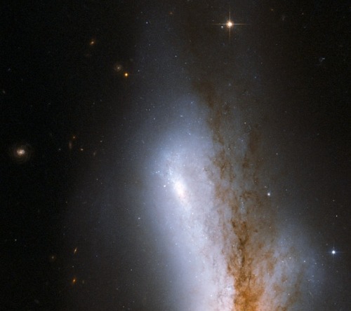 thedemon-hauntedworld:NGC 520NGC 520 is the product of a collision between two disc galaxies that st