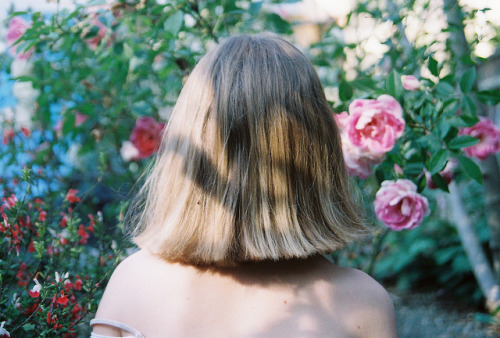 radikael:   rhetoricc:  softskingroup:  (lady bug) by aprilsaur on Flickr.  ⚈Chill and Indie here⚈  ✩☽indie // bambi☾✩  