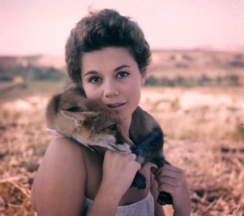 Italian actress Giorgia Moll with a real fox