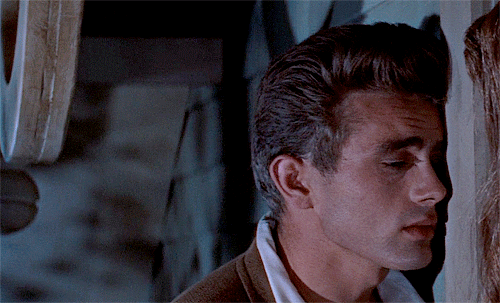 tumblr_nnfkkpOADZ1r745vdo3_500.gifv