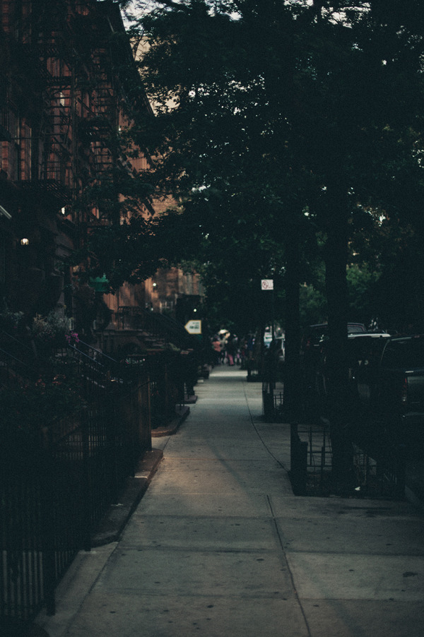 beewalker:  Harlem in the Evening.