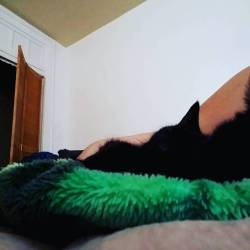 #blackkitties #lazy