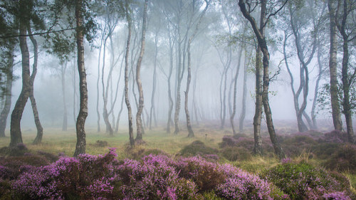 Misty Stanton by J C Mills Photography on Flickr.