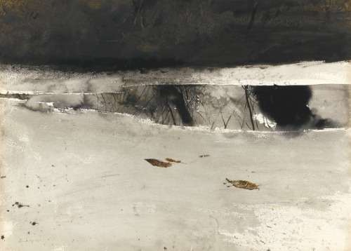 jimlovesart:Andrew Wyeth - Ice Pool, 1969. 
