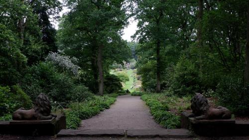 yorksnapshots