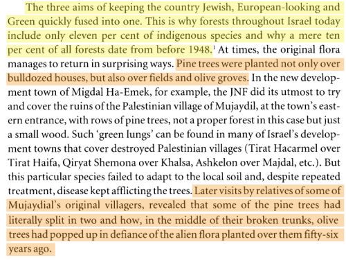 The three aims of keeping the country Jewish, European-looking and Green quickly fused into one. This is why forests throughout Israel today include only eleven per cent of indigenous species and why a mere ten per cent of all forests date from before 1948.1 At times, the original flora manages to return in surprising ways. Pine trees were planted not only over bulldozed houses, but also over fields and olive groves. In the new development town of Migdal Ha-Emek, for example, the JNF did its utmost to try and cover the ruins of the Palestinian village of Mujaydil, at the town's eastern entrance, with rows of pine trees, not a proper forest in this case but just a small wood. Such 'green lungs' can be found in many of Israel's development towns that cover destroyed Palestinian villages (Tirat Hacarmel over Tirat Haifa, Qiryat Shemona over Khalsa, Ashkelon over Majdal, etc.). But this particular species failed to adapt to the local soil and, despite repeated treatment, disease kept afflicting the trees. Later visits by relatives of some of Mujaydial's original villagers, revealed that some of the pine trees had literally split in two and how, in the middle of their broken trunks, olive trees had popped up in defiance of the alien flora planted over them fifty-six years ago.