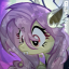 flutterzhy