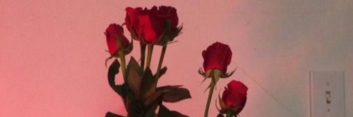 22iconsday:roses headers, like or reblog if u save:)))