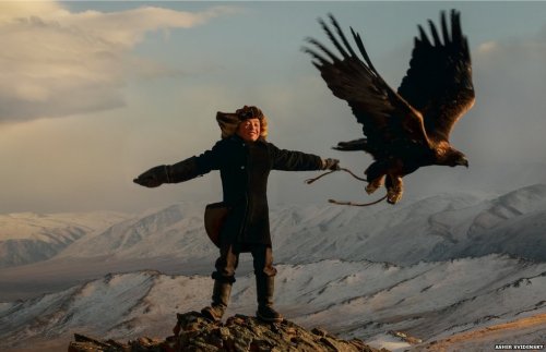 zainisaari:  The 13-year-old eagle huntress of Mongolia Most children, Asher Svidensky says, are a little intimidated by golden eagles. Kazakh boys in western Mongolia start learning how to use the huge birds to hunt for foxes and hares at the age of