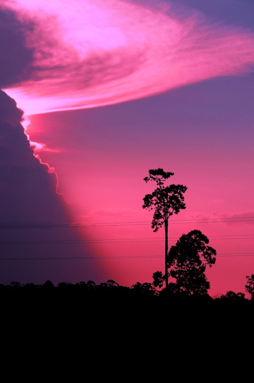 westeastsouthnorth: Paramaribo, Suriname