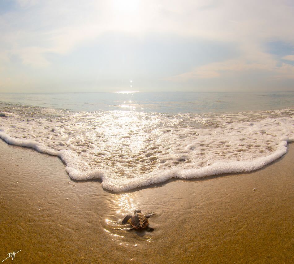atraversso: Summer Is Coming - By:  Ben Hicks Photographer