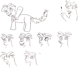 Lloxies-Art-Boxy:some Concept/Reaction Doodles I Did For A Floran-Turned-Pony Character