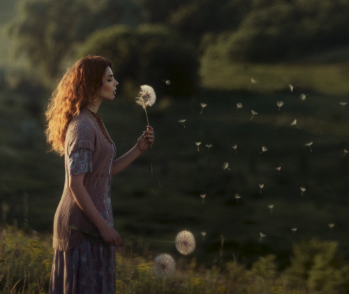 girl and dandelion - David Dubnitskiy