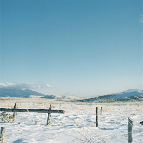 azusaphoto: 冬は冬でとても好きだ…。