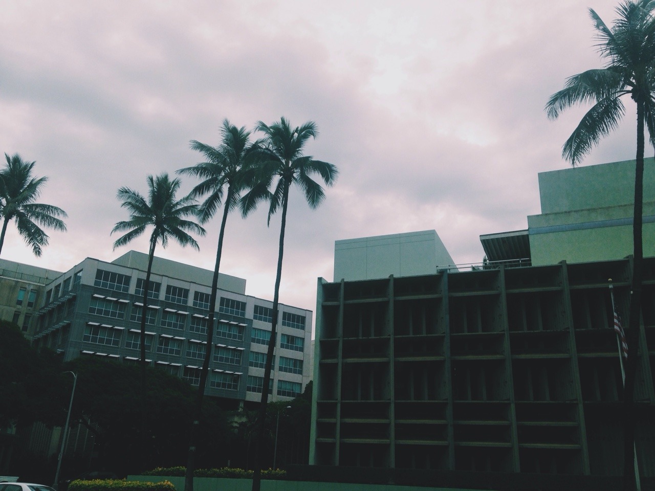 ghetto-versace:  dadvillainy:  rain.  جميل