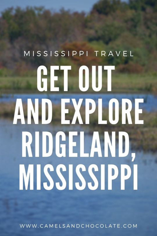 Spend a Weekend in Ridgeland, Mississippi