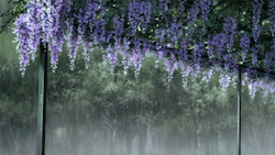 dalnim96:rain brings down the memories. 