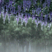 dalnim96:rain brings down the memories. 