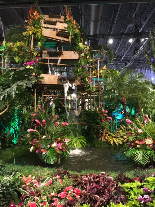 Not mine. A pretty solarpunk display at a flower show!