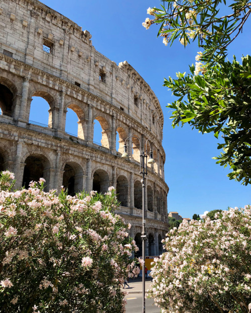 Colosseo - Rome Italy #colosseo #colosseum #Rome #Rom #Roma #italy #italien #italia #old #oldest #ol