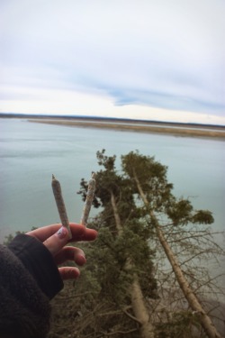 bakedloaf:  baked–alaskan:  Marshmallow joints for my 20th birthday last Sunday. 🍁🌲☔️