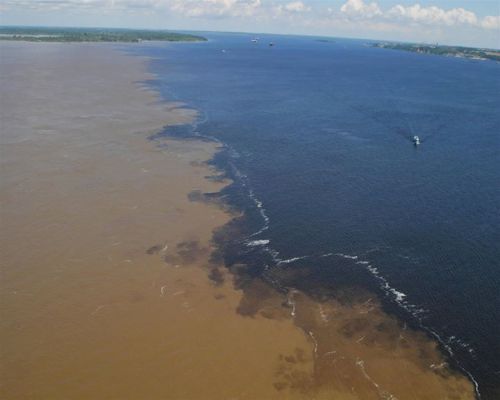 The meeting of the waters is a phenomenon that occurs at the confluence of the Rio Negro, black wate