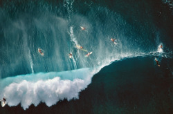 mpdrolet:  Surfers Behind Breaking Waves