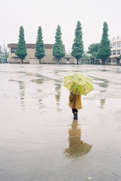 megazal:  Rainy season Tokyo (via ogino.taro)