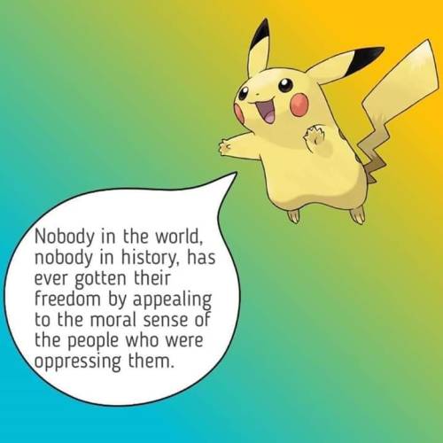 tlaloc:i love that it’s pikachu saying this bc pikachu attained freedom by electrocuting the fuck out of ash and outright refusing to get into the fucking pokeball