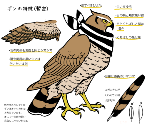 digiartlab: 鳥やタカを描いてみよう How to Draw Birds 