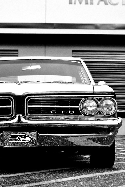eat-sleep-breathe-cars:  musclecarinstant:  dark  gto…   Go Hawks!
