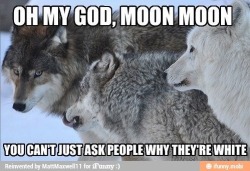 d-dh:  i-am-dla:  Who came up with this moon moon shit ?!  leave it to tumblr to make stuff like this about a wolf with a “wolf name” generator |D  Can I just say I love this Moon Moon stuff X3