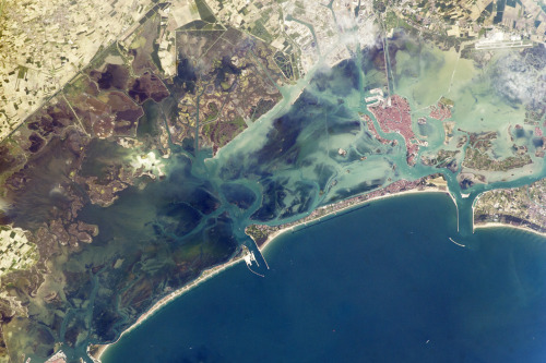 Venetian Lagoon (May 2014), from the International Space Station.The Venetian Lagoon is protected fr